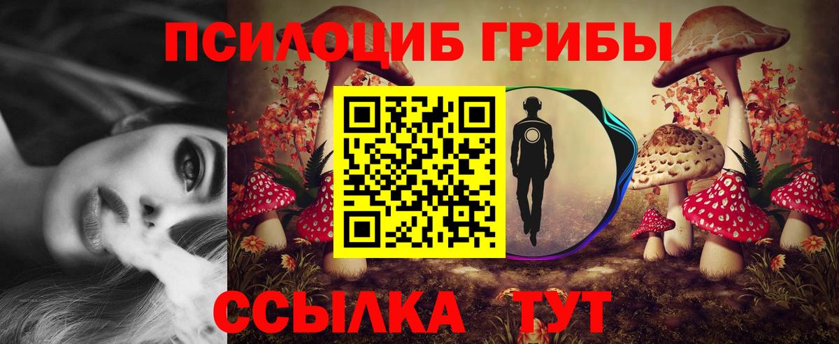 даркнет сайт  Псилоцибиновые грибы мухоморы  Вход с VPN  Куйбышев 